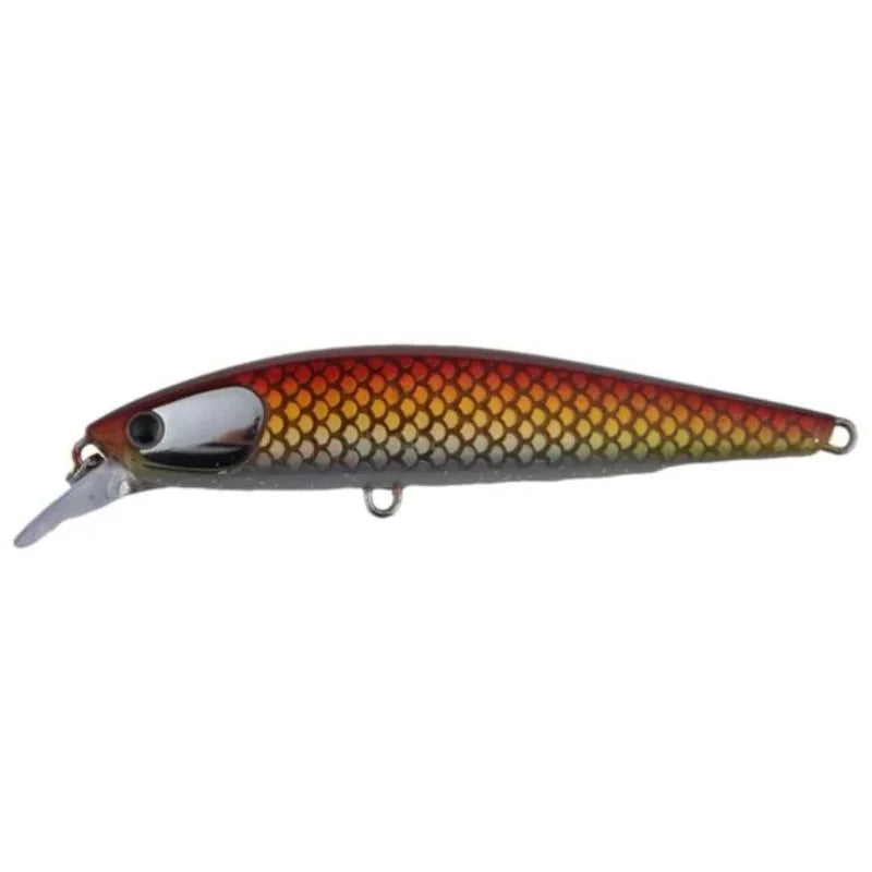 Tidalus Minnow Red Wrasse