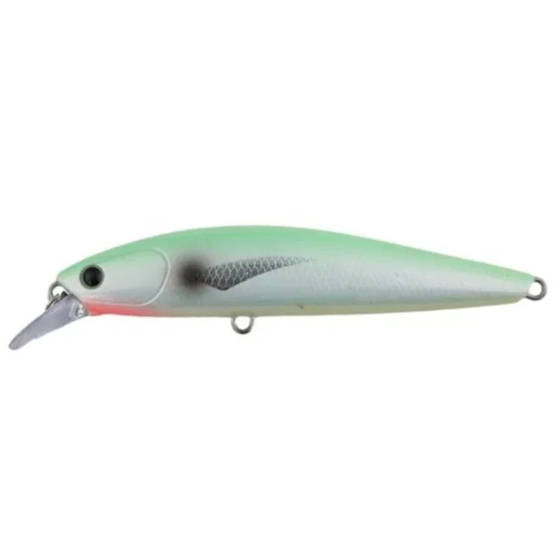 Tidalus Minnow White Lumo